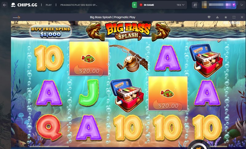 A look at big bass splash casino